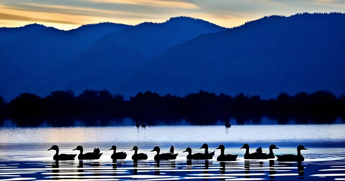 Ducks as Symbols of Change and Adaptation