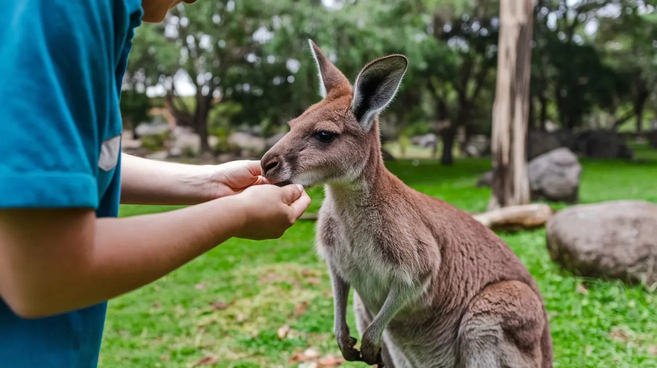 What Does a Kangaroo Dream Mean?